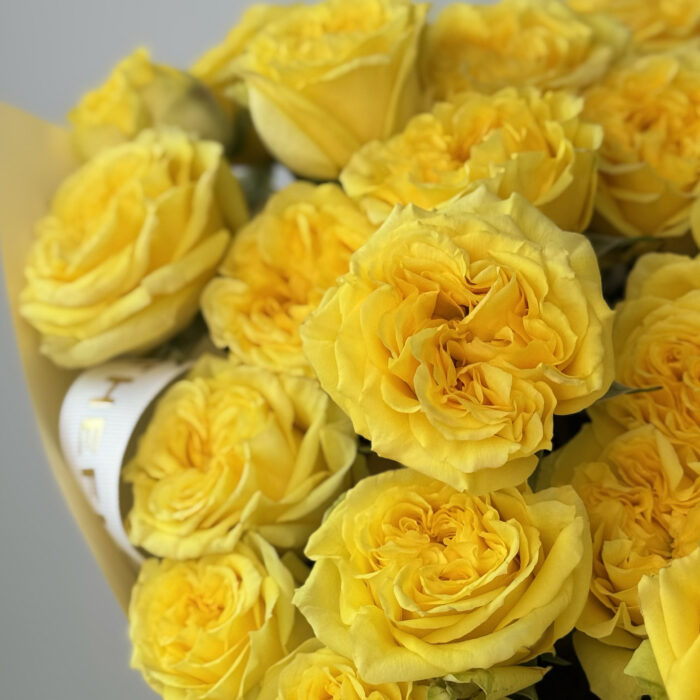 Yellow roses up close - Smile
