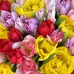 Color Palette flower bouquet