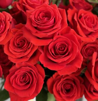 50 Red Roses & Vase