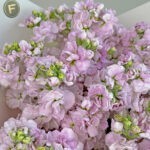 Light Pink Lace flower bouquet