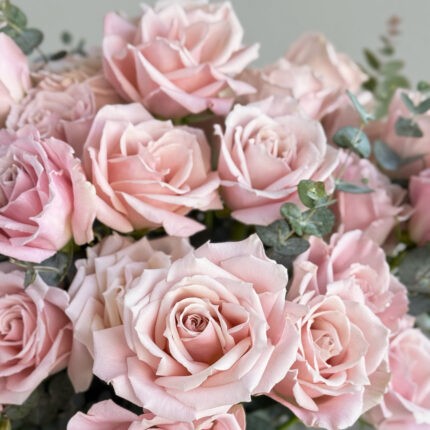 Soft Blush & Vase