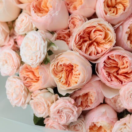 24 Red Roses & Vase
