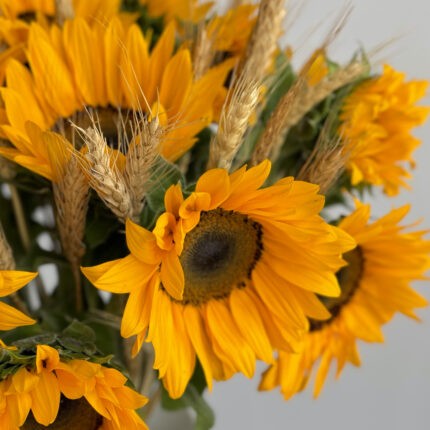Sunshine & Vase