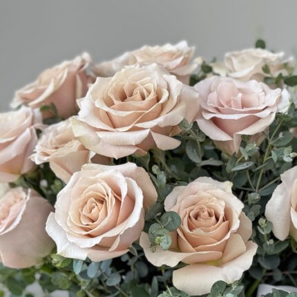 Desert Rose & Vase