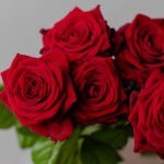 Dozen Red Roses