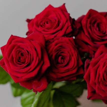Dozen Red Roses