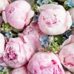Bluebird Kiss flower bouquet