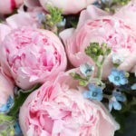 Bluebird Kiss flower bouquet