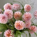 Apricot & Vase