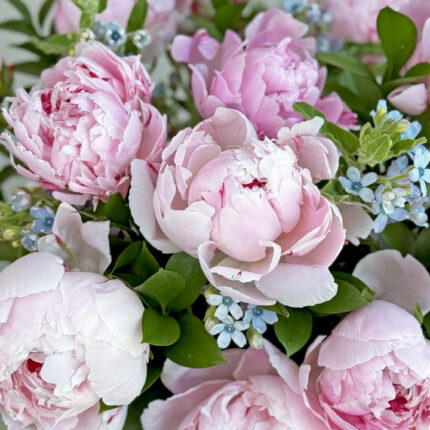 Bluebird Kiss & Vase