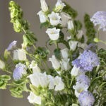 Bellgrass & Vase