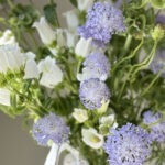 Bellgrass & Vase