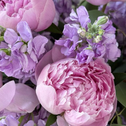 Petal Poetry & Vase