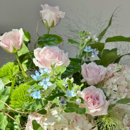 Morning Dew & Vase