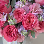 Berry Bliss & Vase