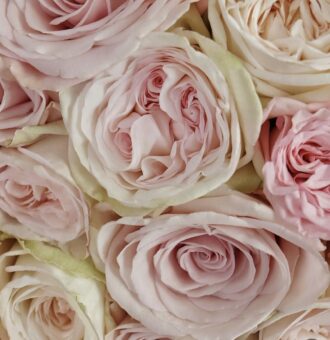 Rosé Charm rose bouquet