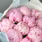 10peony