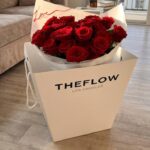 2 Dozen Scarlet Roses