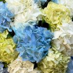 Azure Cloud flower bouquet