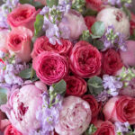 Falling in Love - Image 3