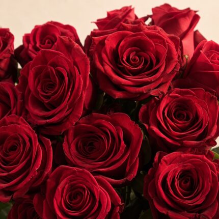 Roses