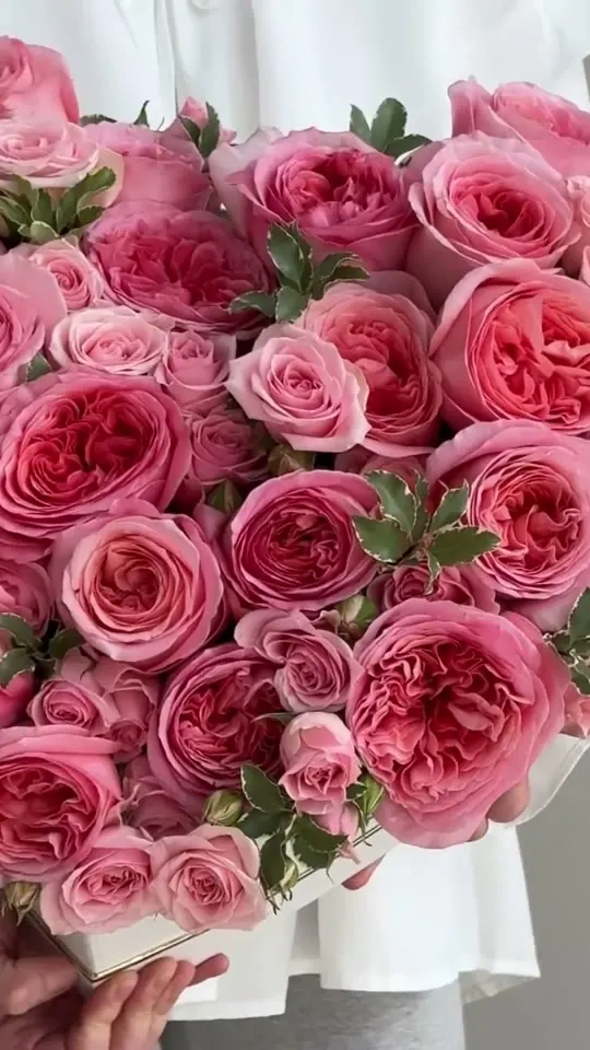 Pink garden roses in TheFlow signature wrapping at the studio